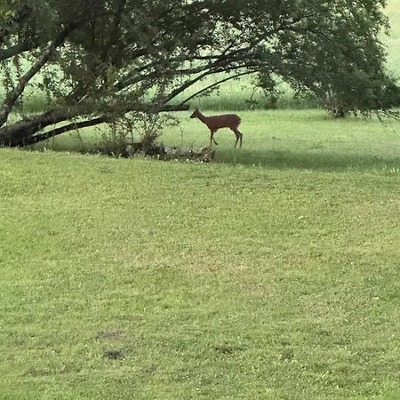 Bastide La Guilhabertie 3* Le Verdier (Tarn)