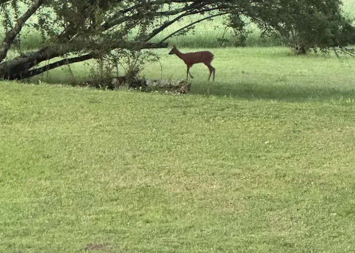 Bastide La Guilhabertie 3* Le Verdier (Tarn)