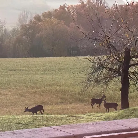 Bastide La Guilhabertie Le Verdier (Tarn)