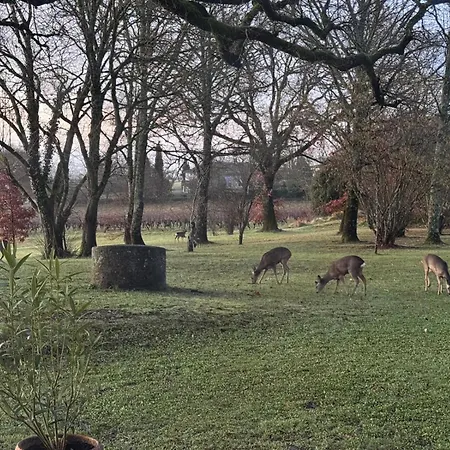 Bastide La Guilhabertie Guest house