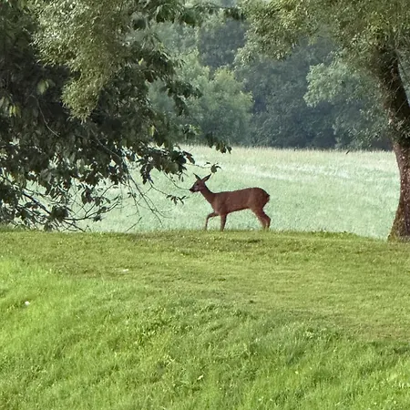 Bastide La Guilhabertie
