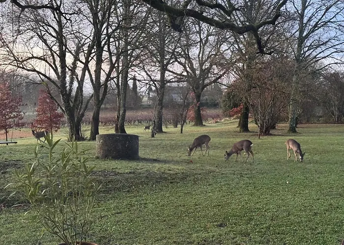Bastide La Guilhabertie Konukevi