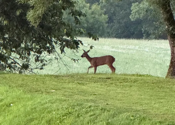 Bastide La Guilhabertie